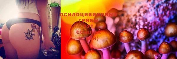 мдма Нефтегорск