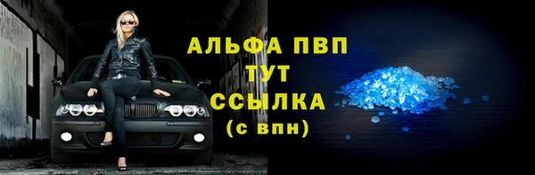 сатива Надым