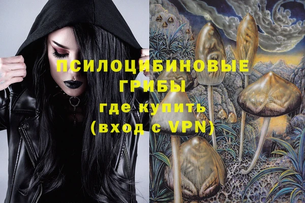 сатива Надым
