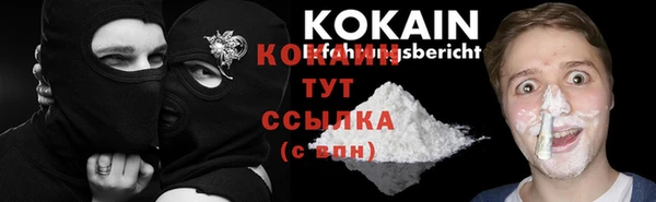 сатива Надым
