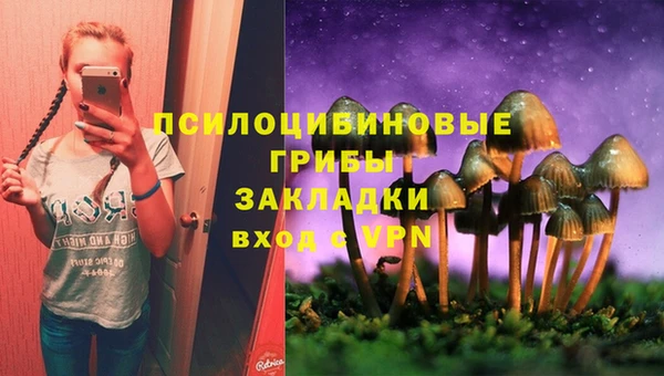 ПСИЛОЦИБИНОВЫЕ ГРИБЫ Нея