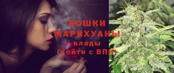 ПСИЛОЦИБИНОВЫЕ ГРИБЫ Нея