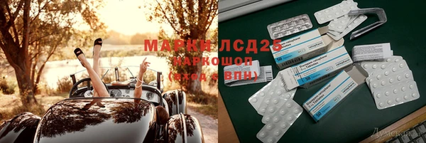 сатива Надым