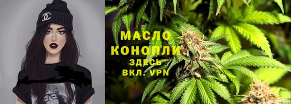 сатива Надым